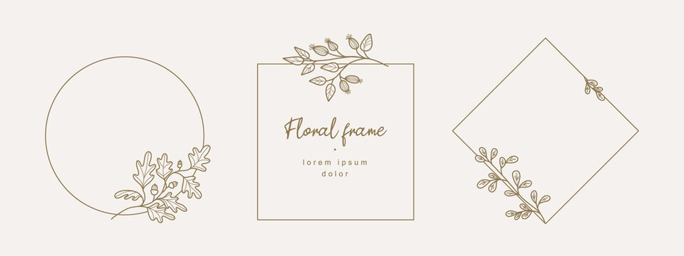 Hand drawn floral frames with branches and leaves. Elegant logo template. Vector illustration vintage decorative elements for label, branding business identity, wedding invitation, greeting card