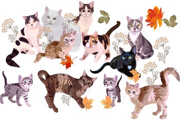 Group of domestic cats playing with fallen maple leaves among umbrella flowers isolated on white background in vector. Symbols of Chinese New Year 2023.