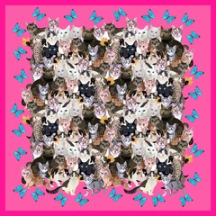 Shawl with multiple cats of different breeds, big blue butterflies and pink border in vector. Fashion accessory with symbols of the Chinese Year of the Cat, 2023.