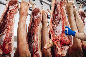 Man butcher standing in meat freezer holding hook