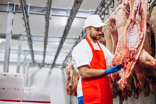 Man butcher standing by hanging fresh pork at the freezer