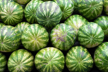 Harvest watermelons, berries neatly stacked on top of each other.Lots of big green watermelons for sale.Summer pictures, desktop wallpapers.