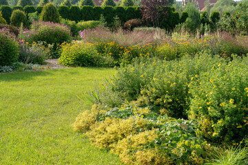 Yellow potentilla and alchemilla  and pink eupatorium - amazing gardening in prosperous village Belgium Village