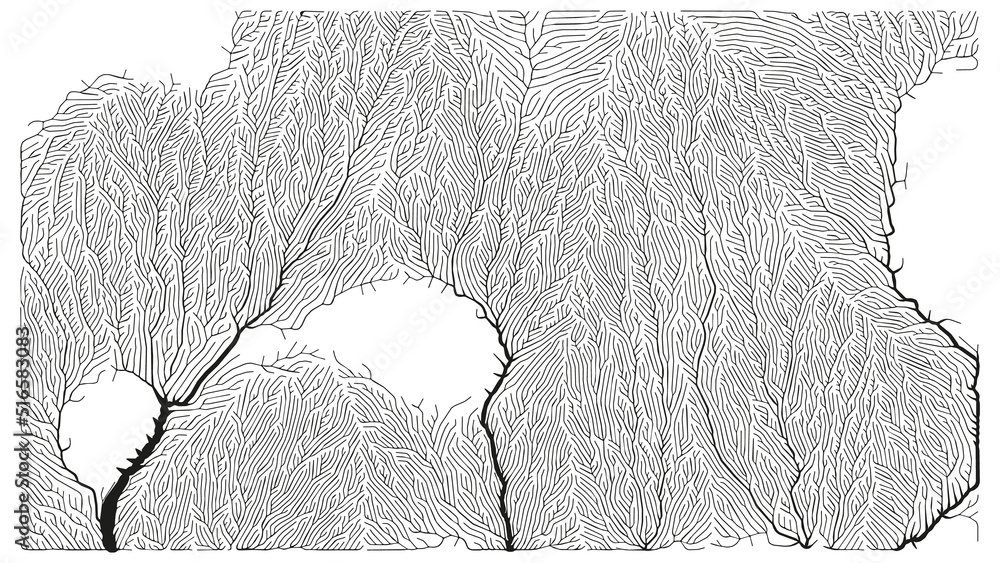 Poster growth pattern. generative branching structure. organic net of vessels texture.