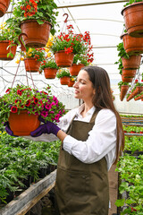 Female worker walking in greenhouse and looking at flowers. Gardener woman working in a greenhouse plantation.