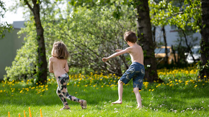 Fototapeta premium summer in the garden