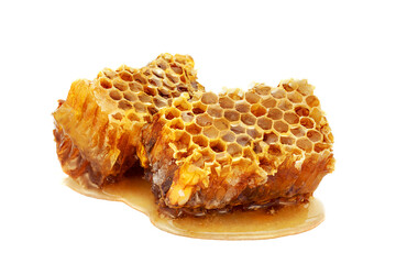 Honeycomb slice closeup
