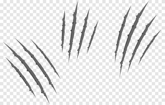 Vector Scratches From The Claws Of The Animal PNG. Scratches On An Isolated Transparent Background. Gray Scratches PNG. Animal Claws.