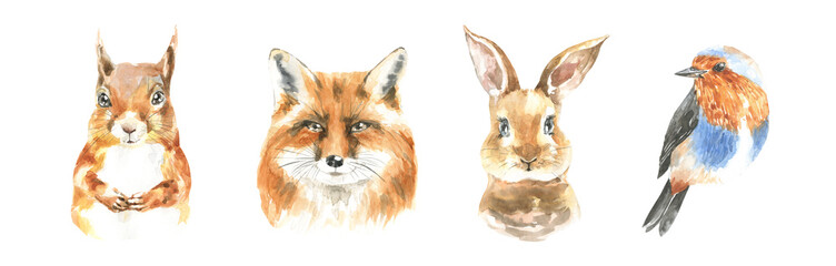 Watercolor woodland boho animal set of forest isolated cute squirrel,fox,bunny,bird illustration.Baby animals with flower frame and color splashes. Nursery animal portrait for baby shower, greeting