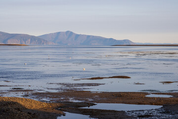 View of the shallow lagoon at low tide. Mountains in the distance. Beautiful seascape. Nature of the Far East of Russia. Olskaya lagoon, Sea of Okhotsk, Magadan region, Russia.