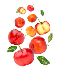 Acerola cherry with green leaves flying in the air isolated on white background.