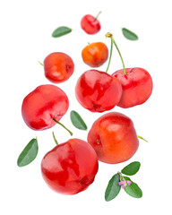 Acerola cherry with green leaves flying in the air isolated on white background.