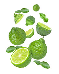 Fresh bergamot or kaffir lime fruit with slice and green leaves flying in the air isolated on white background. 