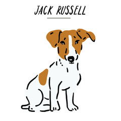 Jack russell Dog breed Hand drawn Color Illustration