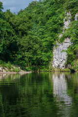 Fototapeta na wymiar 木々の緑が川面に反射する清流猊鼻渓の舟下り