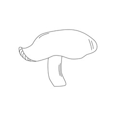 Mushroom Line Art Logo various Mushrooms hand drawn sketch.