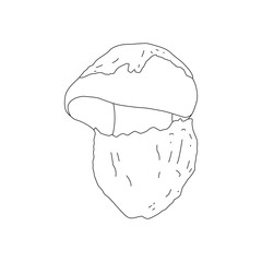 Mushroom Line Art Logo various Mushrooms hand drawn sketch.