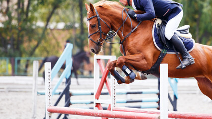Young man riding horse jumping over the hurdle on his show jumping course