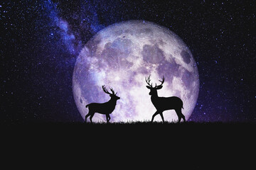 Night deer silhouette against the backdrop of a large moon_element of the picture is decorated by...