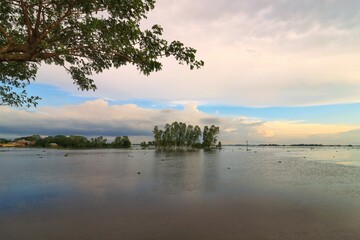 Landscape of wetland  