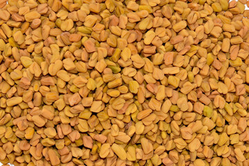 Fenugreen seed full background