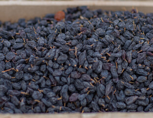 Black raisins taste best in Uzbekistan.
