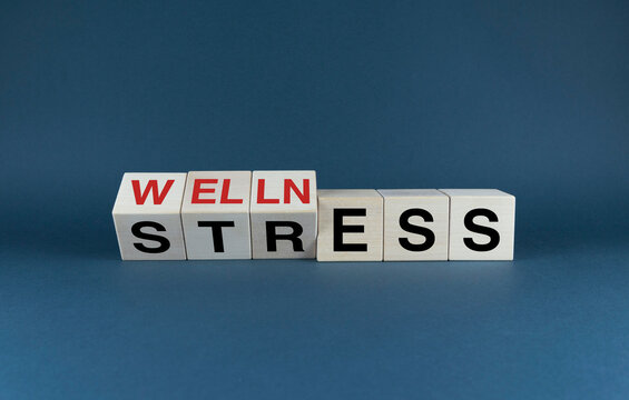 Wellness Stress. Cubes form words Wellness Stress.