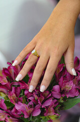 Fototapeta premium Female hand over a bouquet of purple flowers