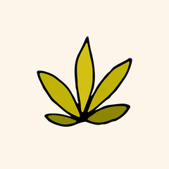 Plant, grass, algae. Vector. Doodle. Hand drawn illustration.