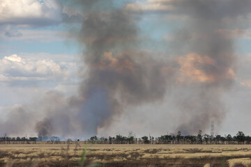 War in Ukraine. Fields of wheat in fire