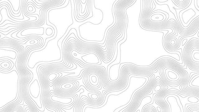 Line art topographic map seamless loop. Abstract background 3d animation. Technology background digital art.