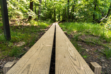 Boardwalk for hike into the woods. Prince William Forest, in Northern Virginia. Trail head for...