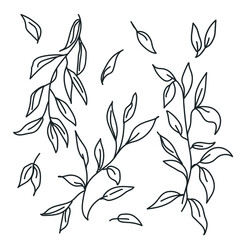 Twigs and leaves vector set. Doodle twigs with leaves isolated on white background.