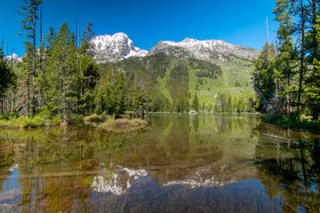 Fototapeta na wymiar lake in grand teton national park