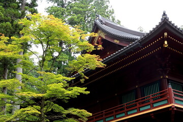 Nikko