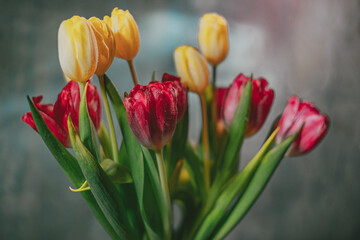 Flowers- soft focus effect. Depth of field