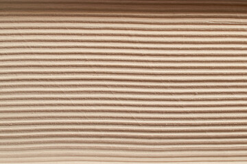 The texture of the cut pages of the book. Close-up, horizontal format