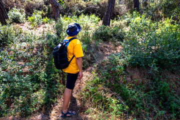 Young man exploring new places in nature, hiking in forest, nature and freedom, rear view.