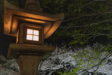 近江八幡 八幡堀の夜桜