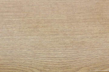 Orange wooden textured design background. Simple white background with smooth lines in light colors. Oak tree in section. Beautiful wallpaper in light gray colors. Light gradient pattern. Copy space