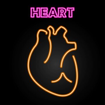 heart organ neon sign, modern glowing banner design, colorful modern design trend on black background. Vector illustration.