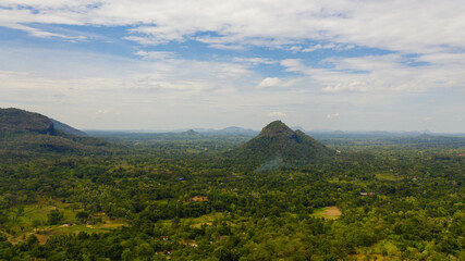 Agricultural land in the countryside among the rainforest and jungle. Sri Lanka.