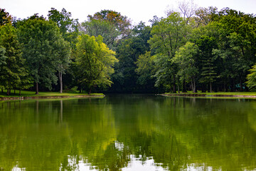 Fototapeta na wymiar green forest trees reflecting on a placid pond