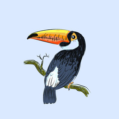 Toucan bird on tree animal tropic character,icon, mascot vector illustration.