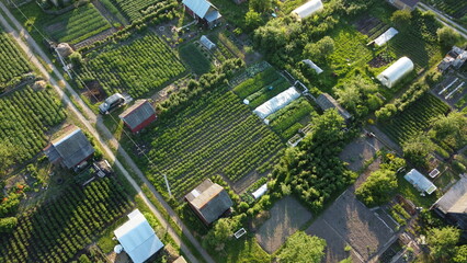  Summer photo of a green village from quadrocopter