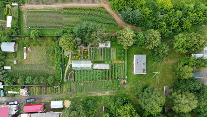  Summer photo of a green village from quadrocopter