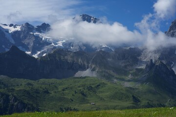 panorama of alpine meadows in swiss alps