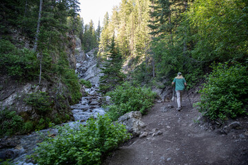 hiking in the woods