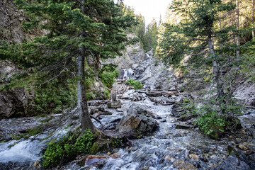 stream in the woods