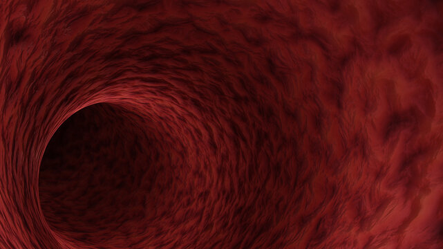 Red blood vessel of a human. Concept of medicine and anatomy. The texture of blood vessels, 3d rendering
